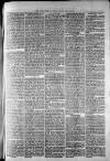 Widnes Weekly News and District Reporter Saturday 25 May 1878 Page 3