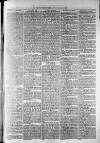 Widnes Weekly News and District Reporter Saturday 08 June 1878 Page 3