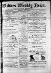 Widnes Weekly News and District Reporter Saturday 15 June 1878 Page 1