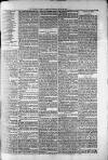Widnes Weekly News and District Reporter Saturday 15 June 1878 Page 7