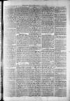 Widnes Weekly News and District Reporter Saturday 29 June 1878 Page 3