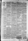 Widnes Weekly News and District Reporter Saturday 29 June 1878 Page 7