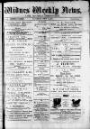 Widnes Weekly News and District Reporter Saturday 06 July 1878 Page 1