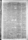 Widnes Weekly News and District Reporter Saturday 06 July 1878 Page 3