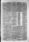 Widnes Weekly News and District Reporter Saturday 13 July 1878 Page 3