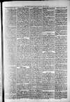 Widnes Weekly News and District Reporter Saturday 20 July 1878 Page 3