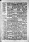 Widnes Weekly News and District Reporter Saturday 27 July 1878 Page 7