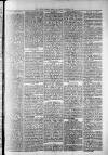 Widnes Weekly News and District Reporter Saturday 03 August 1878 Page 3