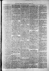 Widnes Weekly News and District Reporter Saturday 10 August 1878 Page 3