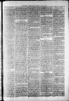 Widnes Weekly News and District Reporter Saturday 17 August 1878 Page 3