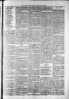 Widnes Weekly News and District Reporter Saturday 17 August 1878 Page 7