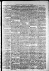 Widnes Weekly News and District Reporter Saturday 24 August 1878 Page 3