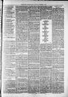 Widnes Weekly News and District Reporter Saturday 12 October 1878 Page 7