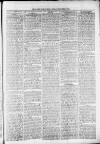 Widnes Weekly News and District Reporter Saturday 16 November 1878 Page 3