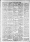 Widnes Weekly News and District Reporter Saturday 23 November 1878 Page 3