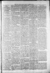 Widnes Weekly News and District Reporter Saturday 30 November 1878 Page 3