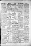 Widnes Weekly News and District Reporter Saturday 30 November 1878 Page 5