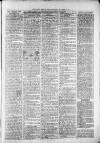 Widnes Weekly News and District Reporter Saturday 14 December 1878 Page 3