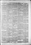 Widnes Weekly News and District Reporter Saturday 14 December 1878 Page 7