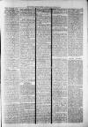 Widnes Weekly News and District Reporter Saturday 21 December 1878 Page 3