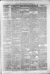 Widnes Weekly News and District Reporter Saturday 21 December 1878 Page 7