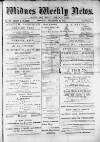 Widnes Weekly News and District Reporter Saturday 28 December 1878 Page 1