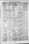 Widnes Weekly News and District Reporter Saturday 28 December 1878 Page 5