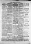 Widnes Weekly News and District Reporter Saturday 28 December 1878 Page 8