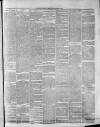 Widnes Weekly News and District Reporter Saturday 25 January 1879 Page 3