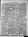 Widnes Weekly News and District Reporter Saturday 01 February 1879 Page 3