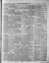 Widnes Weekly News and District Reporter Saturday 08 March 1879 Page 3