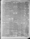 Widnes Weekly News and District Reporter Saturday 05 April 1879 Page 3