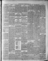 Widnes Weekly News and District Reporter Saturday 19 April 1879 Page 3