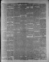 Widnes Weekly News and District Reporter Saturday 05 March 1881 Page 3