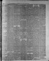 Widnes Weekly News and District Reporter Saturday 25 February 1882 Page 3