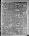 Widnes Weekly News and District Reporter Saturday 11 March 1882 Page 3