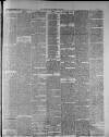 Widnes Weekly News and District Reporter Saturday 03 June 1882 Page 3