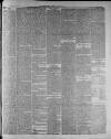 Widnes Weekly News and District Reporter Saturday 12 August 1882 Page 3