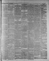 Widnes Weekly News and District Reporter Saturday 21 October 1882 Page 3