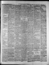 Widnes Weekly News and District Reporter Saturday 01 December 1883 Page 3