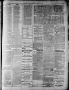 Widnes Weekly News and District Reporter Saturday 12 January 1884 Page 7