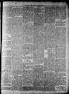 Widnes Weekly News and District Reporter Saturday 19 January 1884 Page 5