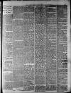 Widnes Weekly News and District Reporter Saturday 02 February 1884 Page 3