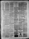 Widnes Weekly News and District Reporter Saturday 01 March 1884 Page 7