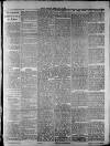 Widnes Weekly News and District Reporter Saturday 15 March 1884 Page 3