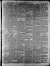 Widnes Weekly News and District Reporter Saturday 22 March 1884 Page 5