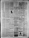 Widnes Weekly News and District Reporter Saturday 19 April 1884 Page 7