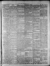 Widnes Weekly News and District Reporter Saturday 26 April 1884 Page 5