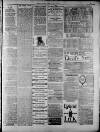 Widnes Weekly News and District Reporter Saturday 26 April 1884 Page 7