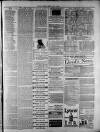 Widnes Weekly News and District Reporter Saturday 05 July 1884 Page 7